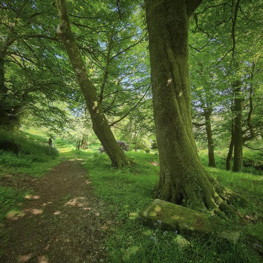 Ta Mill Holiday Cottages & Lodges -Ta Mill House Launceston Εξωτερικό φωτογραφία