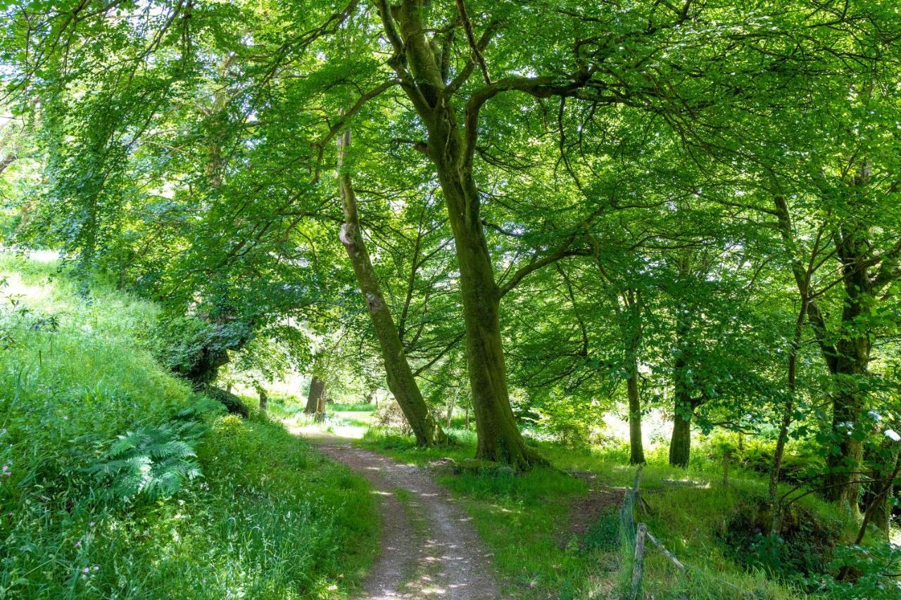 Ta Mill Holiday Cottages & Lodges -Ta Mill House Launceston Εξωτερικό φωτογραφία