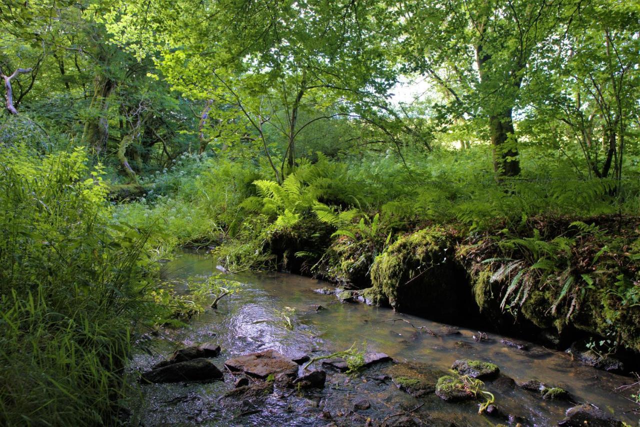 Ta Mill Holiday Cottages & Lodges -Ta Mill House Launceston Εξωτερικό φωτογραφία