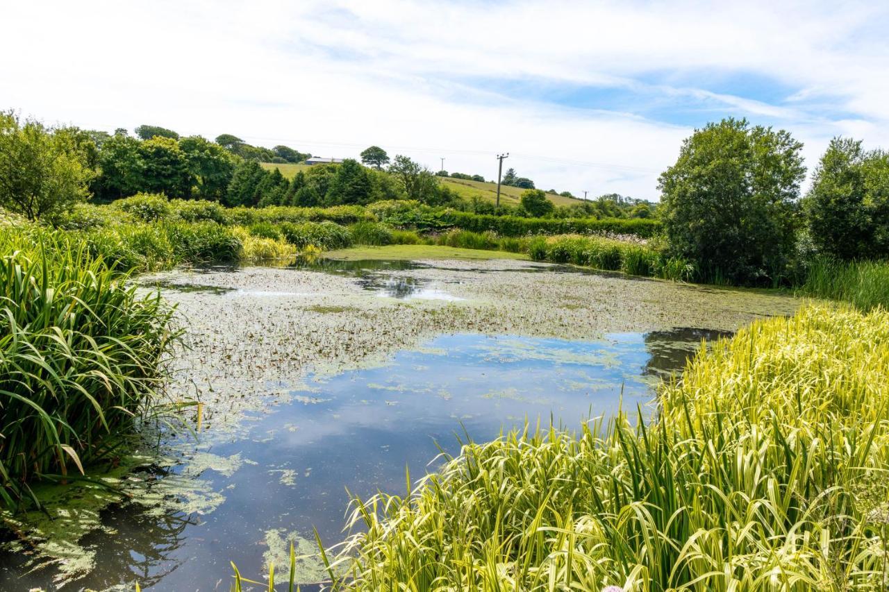 Ta Mill Holiday Cottages & Lodges -Ta Mill House Launceston Εξωτερικό φωτογραφία