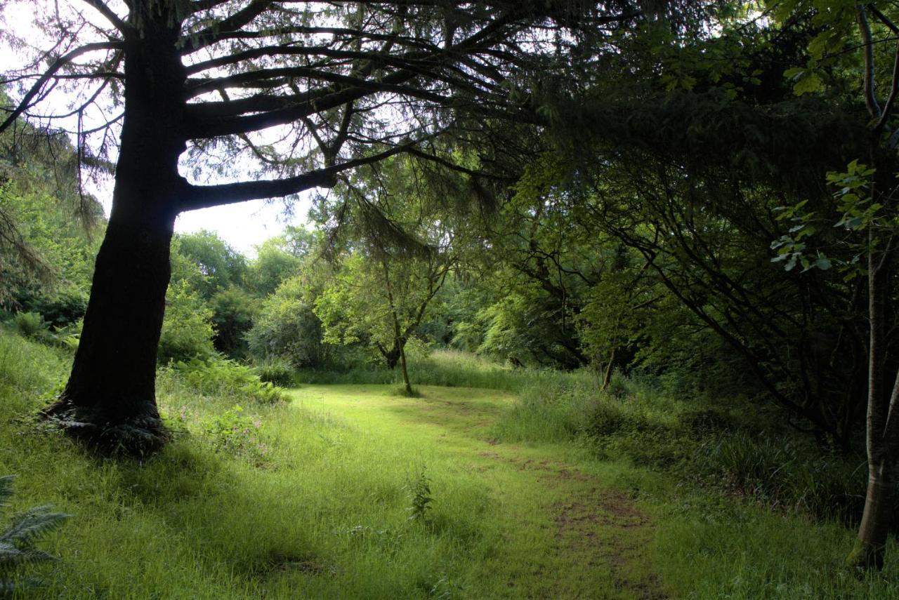 Ta Mill Holiday Cottages & Lodges -Ta Mill House Launceston Εξωτερικό φωτογραφία